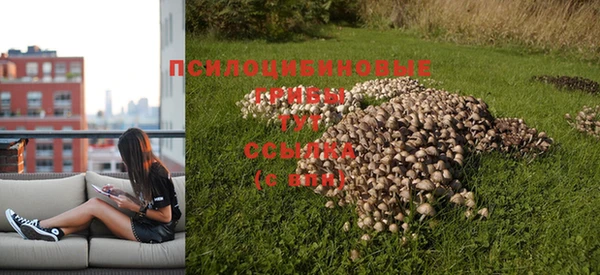 молекула духа Балабаново