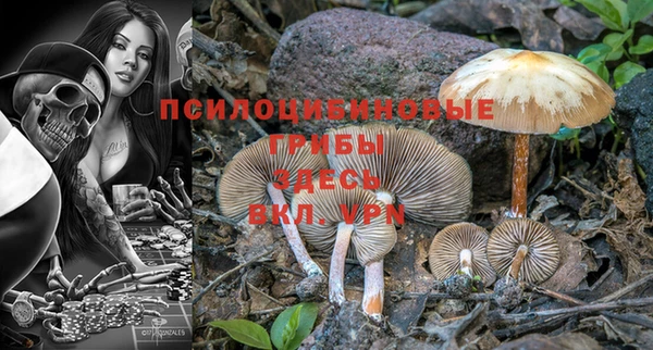 молекула духа Балабаново